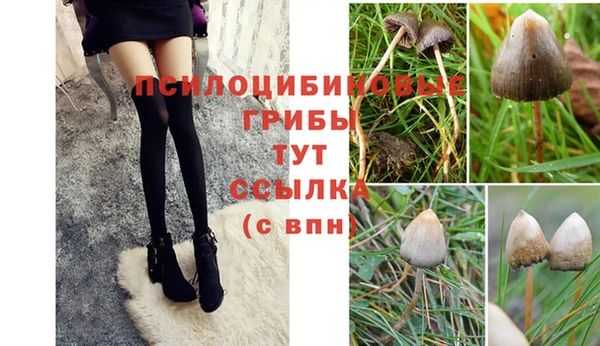 бошки Кодинск