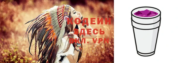 молекула духа Коряжма
