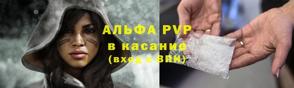 бошки Кодинск