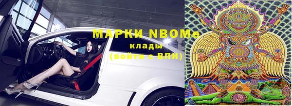 сатива Кущёвская