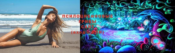 бошки Кодинск