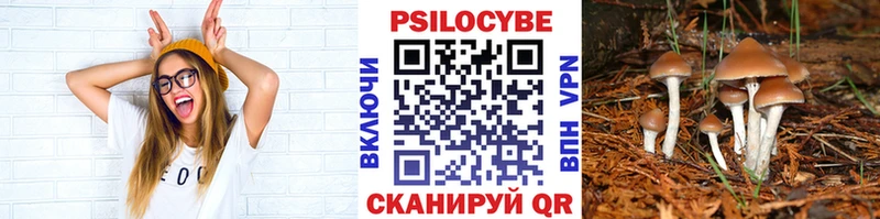 omg ссылки  Нестеровская  Псилоцибиновые грибы мицелий 